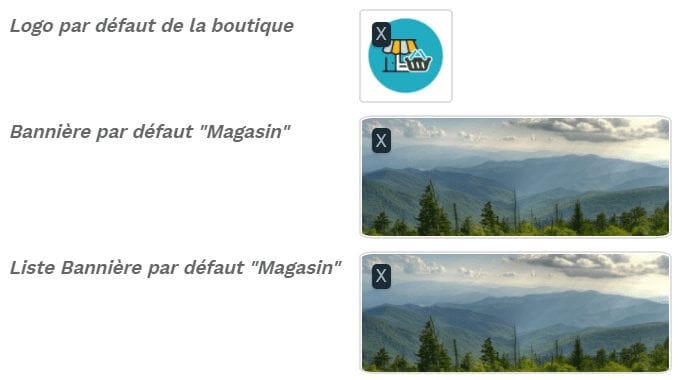Etape #2 : Changement des logos 6 Par défaut