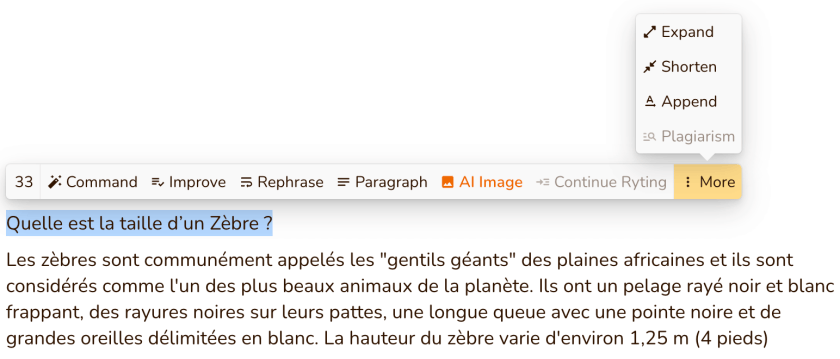 Rytr Avis, Prix et Test en Français 1 Génération du contenu sur Rytr