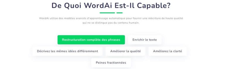 WordAI fonctionnalités